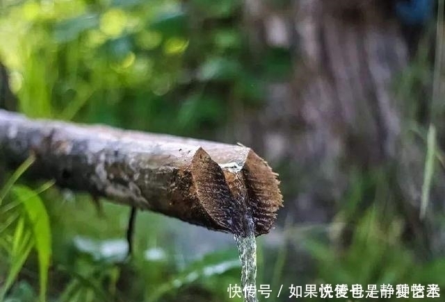 净水器|央视曝光“毒水”,看着干净但金属超标,很多父母还坚持让孩子喝