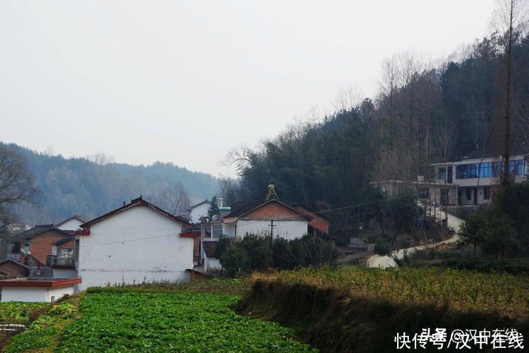 中年|野游牟家坝