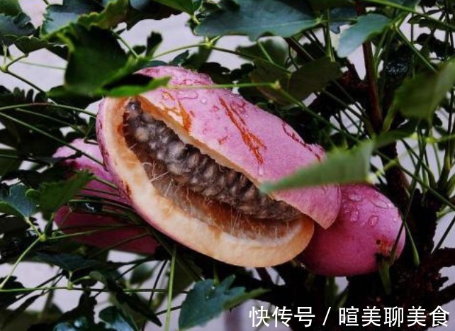 八月瓜|女性不想肚子鼓鼓，可常吃此果，腰不痛，腿不酸，子宫越来越干净