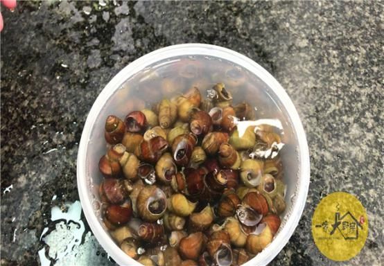 才发现,菜刀上圆孔有个厉害用法,现在知道还不晚,太多人收藏了