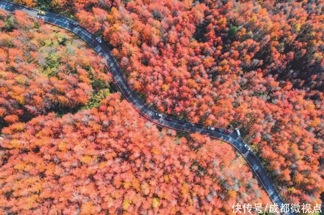 光雾山旅游景区，拟升5A级|喜报 | 景区