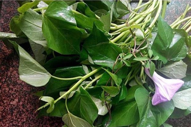 胡罗卜素|女性不想变老，不妨多吃此物，滋养肌肤排毒养颜，早吃早好