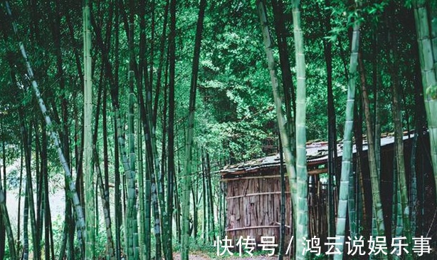 坟地#坟边长竹须迁坟，坟前两物成富人，“两物”是什么