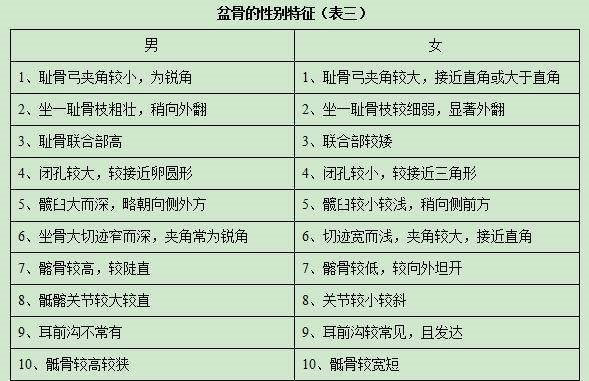 揭秘如何通过骨头分辨男女,考古系的女生都要亲手摸