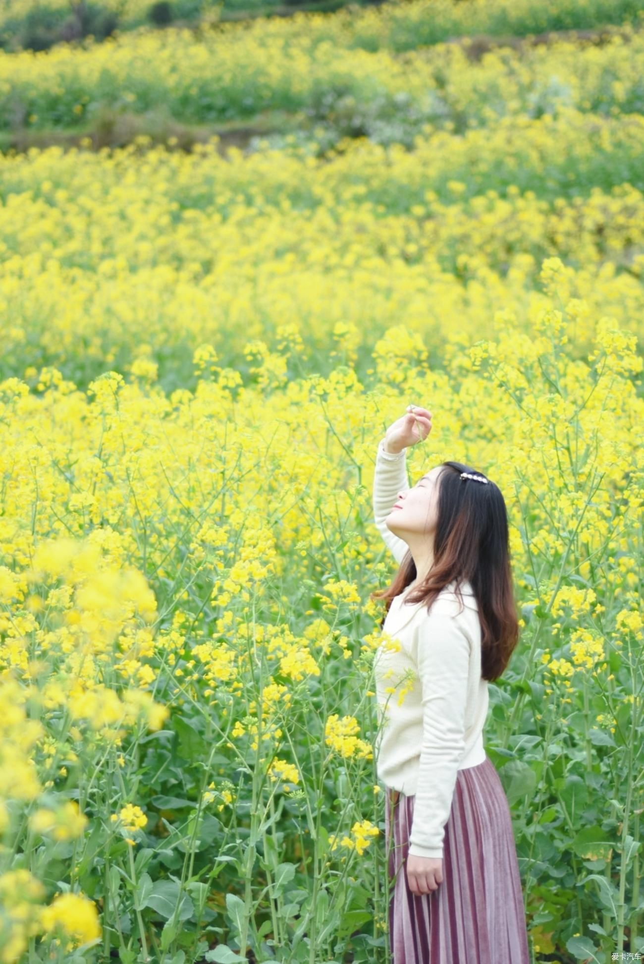 婺源|【春到婺源】记得住乡愁，江岭上开遍油菜花。