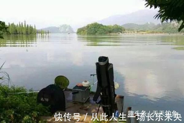 进食|三伏天钓鲫鱼，鱼口轻微，只需用这几招，鲫鱼连竿上，很过瘾