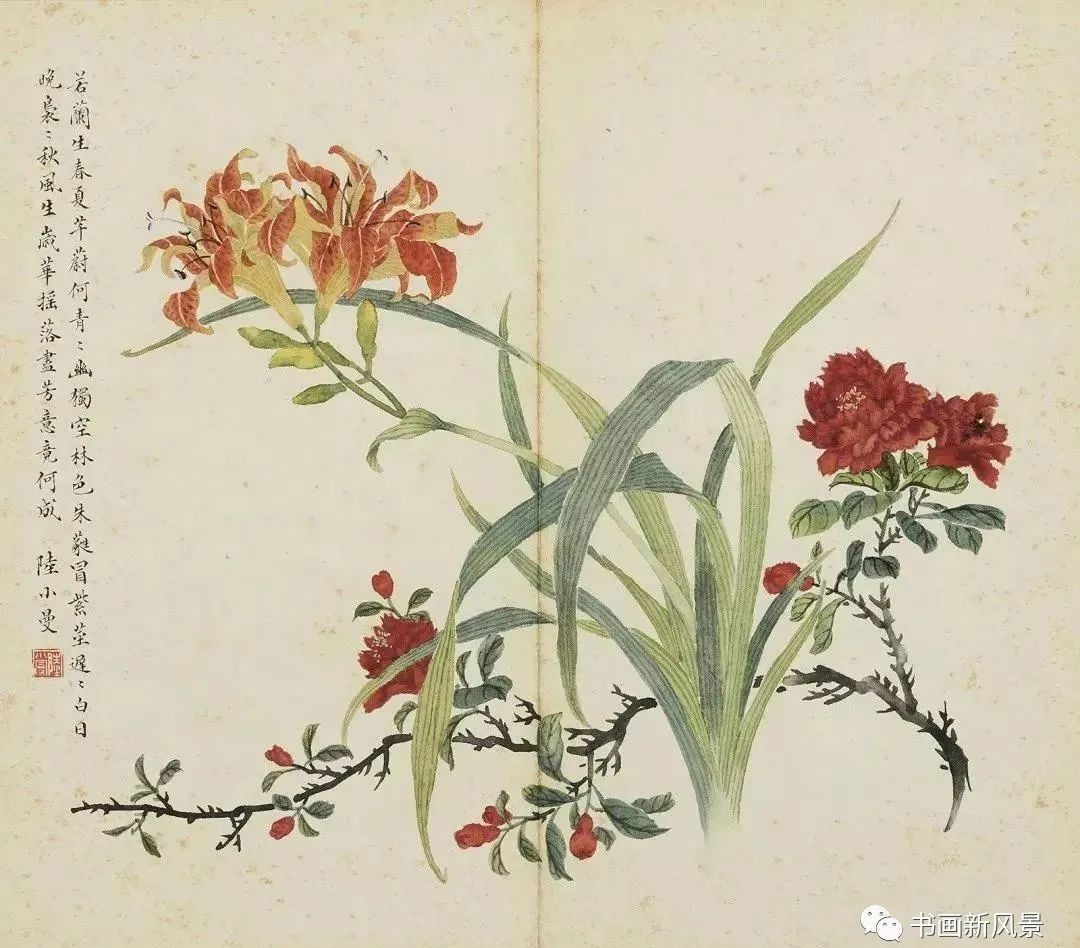 陆小曼花卉册页,很美很惊艳!