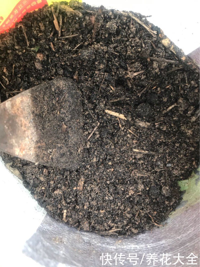 多菌灵不会用，就算春天买再多花，最后可能也死翘翘