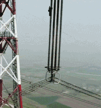 GIF|搞笑GIF：快看镜头，我要多拍几张留作纪念