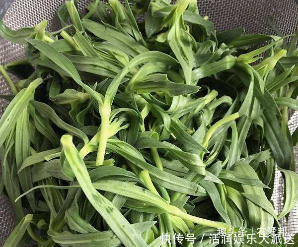 它面条菜|这样一种野菜它的味道很鲜美,名字却很奇怪,深受城里人推崇!