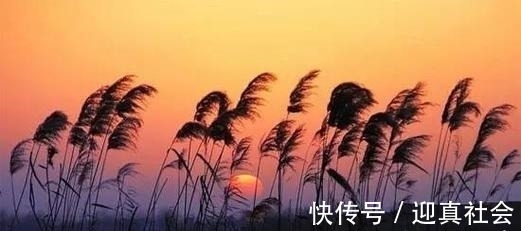 碧荷&宋代水平高超的七律,恬静雅丽,技法多样,展现出隐居生活的悠闲