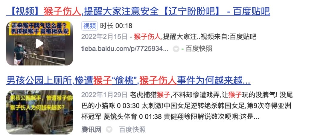 千岛湖景区|野猴伤人推人事件频发,为什么杭州千岛湖景区里的就那么听话?