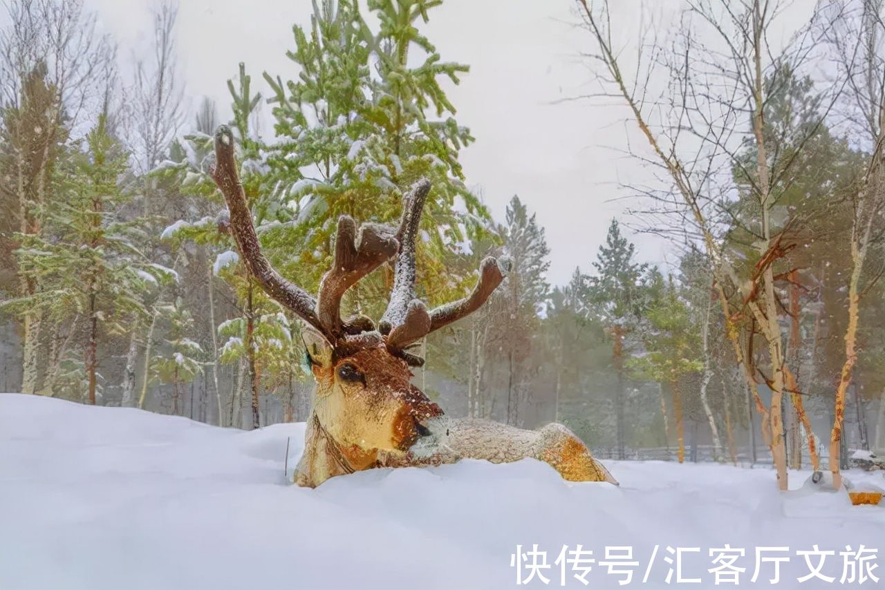 雪乡|没有雪的冬天，是没有灵魂的，而雪乡的雪是“暖”的