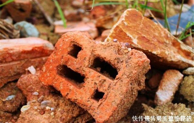 出门捡4种东西,养花垫盆底,营养土不用买,疏松透气、不烂根