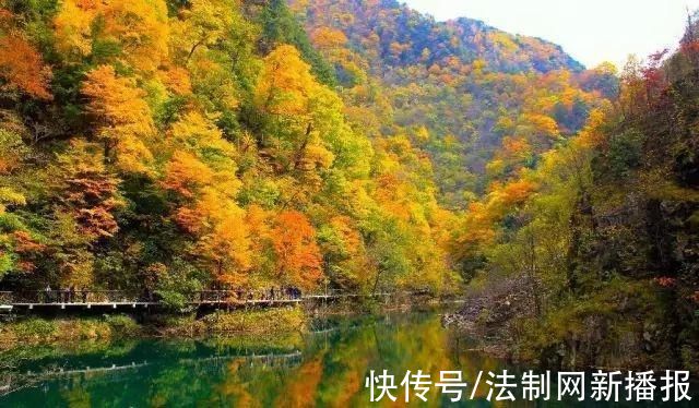 平利县|10月美开挂!中国最美乡村平利迎来最美金秋，小众秘境每一处都惊艳