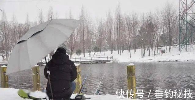 都说冬季鱼难钓?其实不然,是你没掌握诀窍,这样调整后照样上鱼