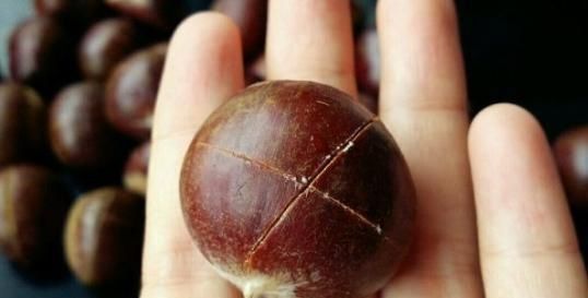 好吃|板栗好吃不好剥资深吃货透露小妙招,这样做,省时省力还不伤手