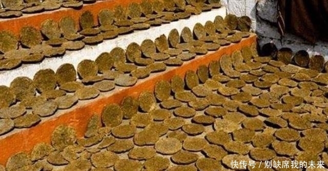 饼干|8种奇葩的饼干,第一个就看蒙了,最后一个简直不忍直视!