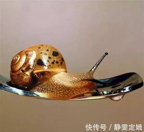 超写实主义!他画了一条金鱼,放大5倍后,网友大呼:相机可以扔了