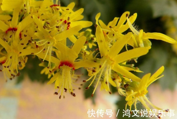 礼貌|人最大的教养,不是表面上的礼貌,而是4个“仁者无敌”的方式