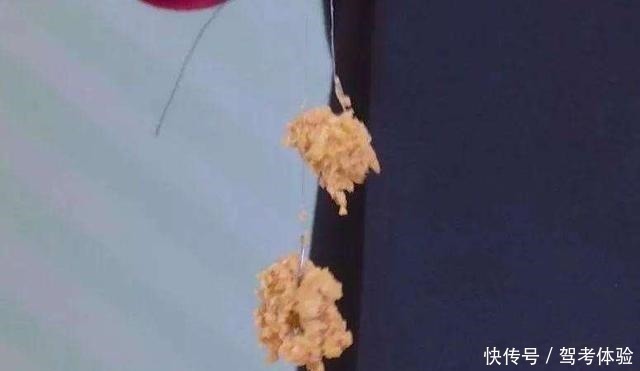 鱼类|钓鲫鱼窝内出现大片鱼泡,为何没鱼吃钩因为它想吃吃不到!