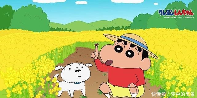 娜娜子|蜡笔小新让小新羞羞的4个人,第一个单恋,第四个是未婚妻