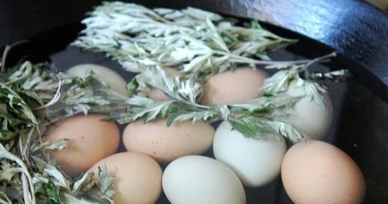 艾叶|经常用艾叶煮水洗头,不到一个月,好处主动找上门