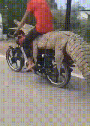 |搞笑GIF:这是谁家的闺女