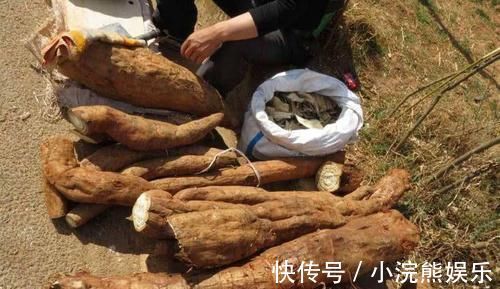 修复|肝不好不用慌, 常吃这几种食物, 修复肝细胞, 肝脏慢慢变好