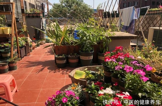 有露台的房子不仅可以做花园,晒衣服晒被子也很实用,邻居超羡慕!