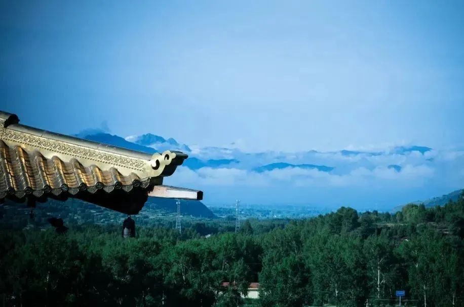 老和尚|刚信佛,挫折逆境全来了,是什么原因看梦参老和尚怎么说