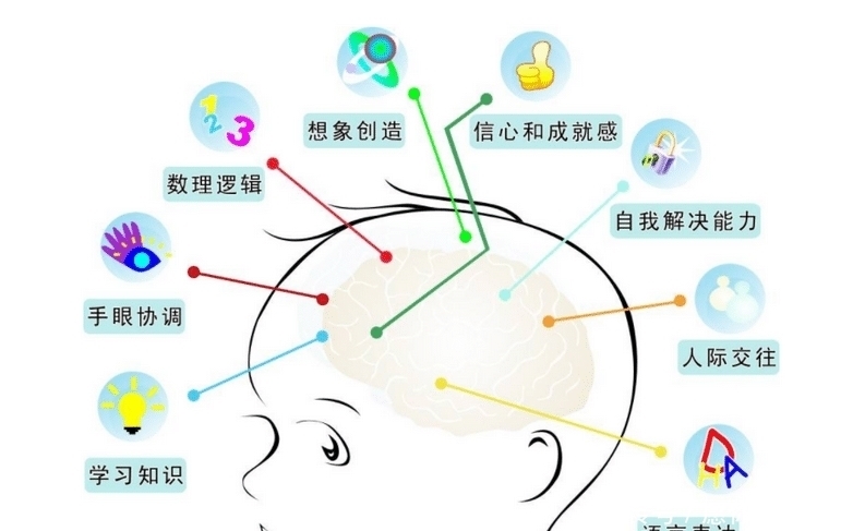 发育|哈佛研究发现：儿童大脑发育一生有3次黄金期，父母注意别错过