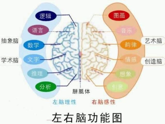 父母|研究表明：孩子10岁前，有三次“变聪明”的机会，父母要抓住