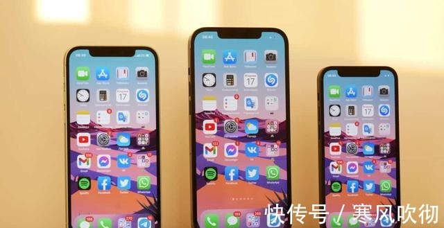 摄像头|iPhone 14爆料提前出现,但这个配置是认真的吗!