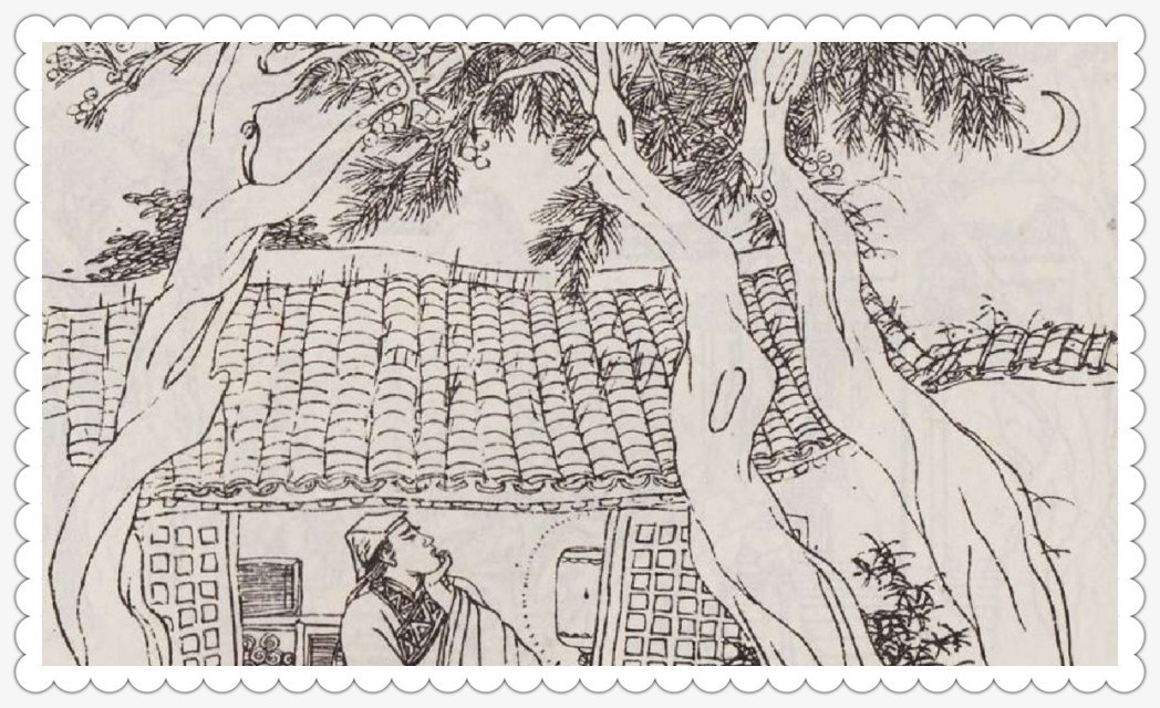 狐精&新聊斋夫妻破庙躲雨，丈夫被美妇骗走，关进坟墓一年托梦获救