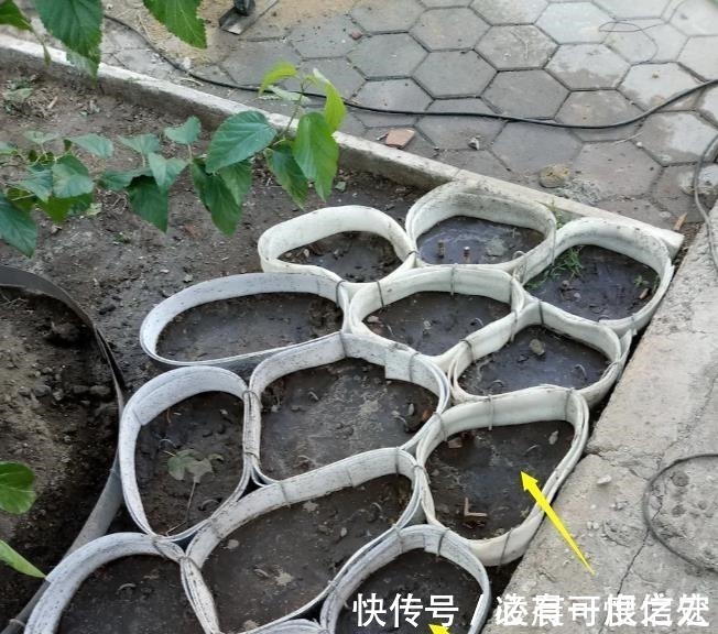 人造石|用纸板将水泥框起来现浇,人造石铺院子地面,比纯打水泥性价比高