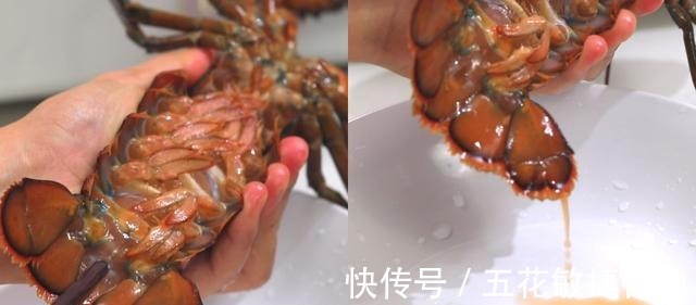 蒜蓉粉丝|蒜蓉粉丝蒸波士顿龙虾，孩子吵着要自己动手，幸好蒸龙虾并不复杂！