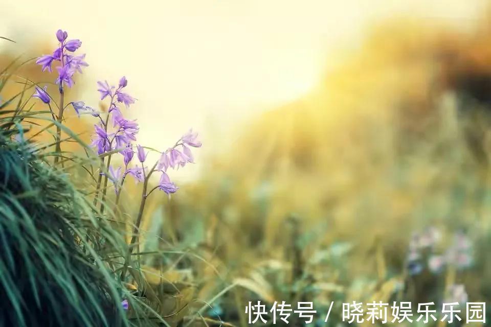 婆媳矛盾|“为了避免婆媳矛盾,别让我妈照顾你月子了”可以,我有一个条件