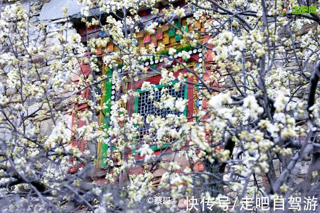 神仙包|春天第一站就去这里！醉春天之川西花海、雪山、冰湖七天之旅