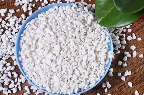 拿这4样“颗粒”养花，预防烂根问题、增肥，切记注意“分寸”