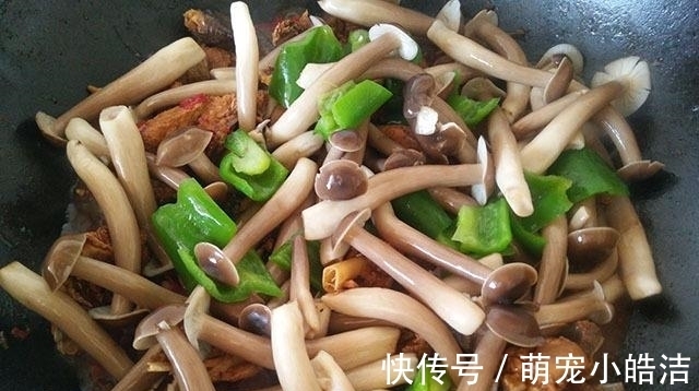 鸡肉|秋天，这肉要多吃，1斤猪肉能买它3斤，营养极高，炖着吃最香