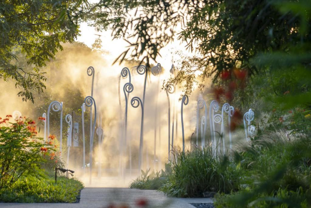 登云湖|相逢登云湖,看见越来越好的阳光城