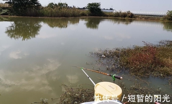 任何天气|冬季钓鲫鱼，天气不同鱼群位置不同，根据天气找鱼窝，渔获有保证