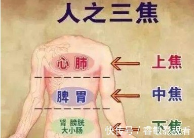 栀子|一味中药,上清心肺之火,中泻胃火,下泻肾火,疗效独特