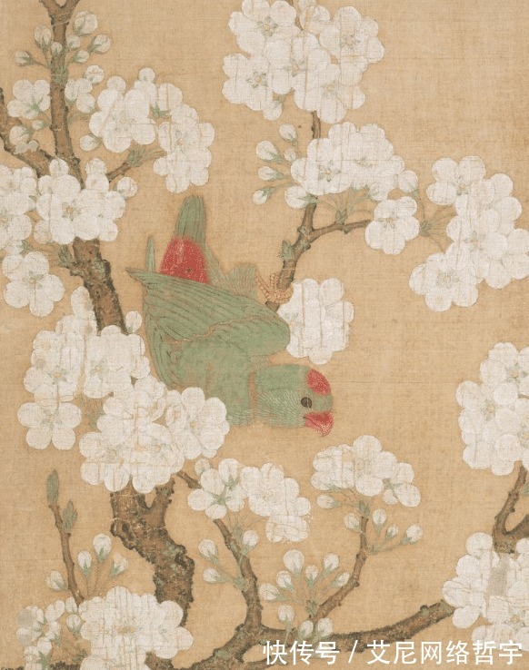 大雁|古代禽兽故事7则