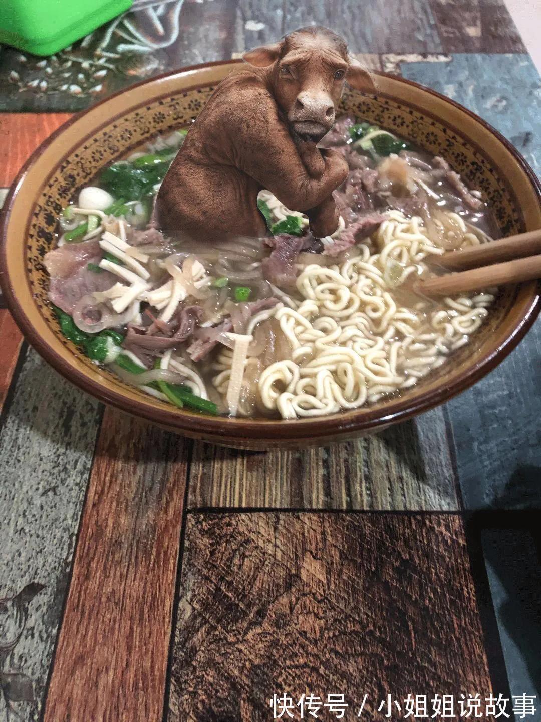 |搞笑神评论:这家早餐店的味道真的好,每天都要来吃三大碗