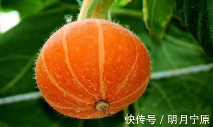 女性|雌激素分泌“旺”的女性，一般有4个表现，若全有，那就偷着乐吧