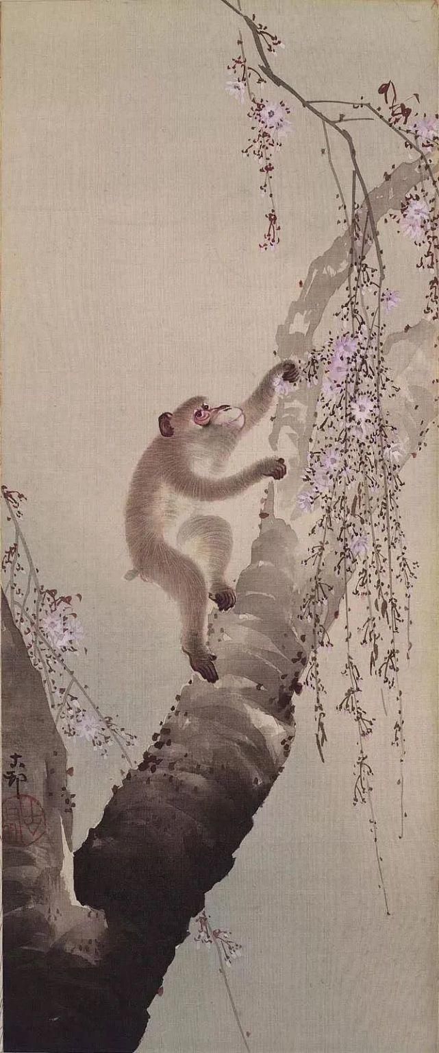 日本绘画大师的花鸟画，淡雅清新