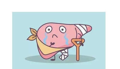 常生活中|没事做做提肛运动，4个好处收入囊中，身体会感激你！