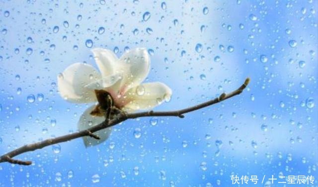 花前|男人对爱有多坚定一首流传千年的经典,9个字道尽世间多少痴情